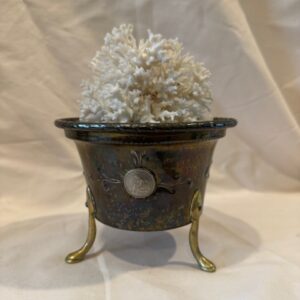 Metal pot with brass feet and 18th, 19th and 20th century coins